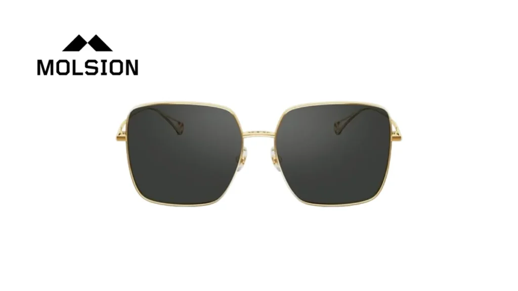 Top 10 Sunglasses Brands in China Molsion