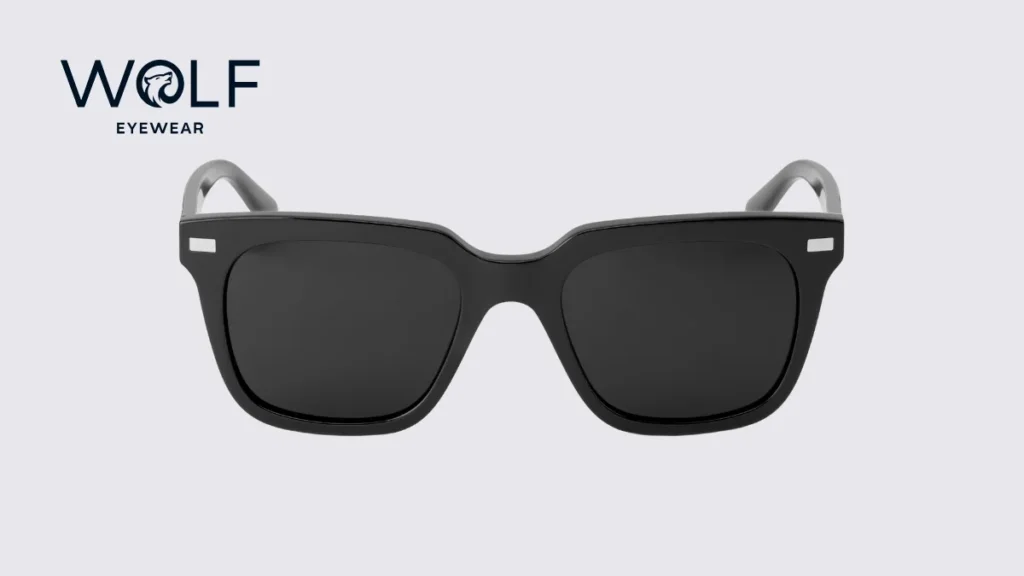Top 10 Sunglasses Brands in Australia The Wolf Gang