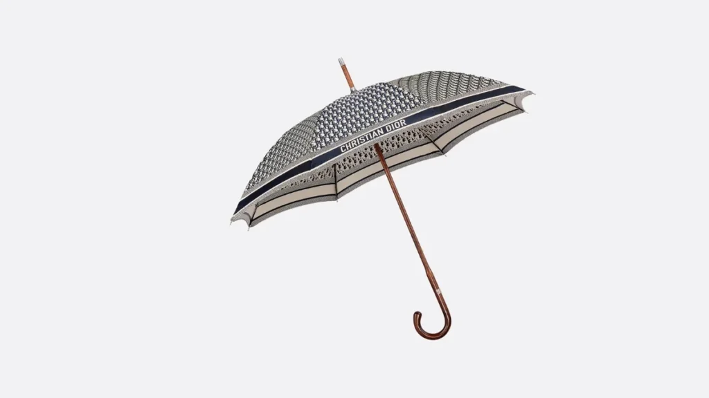 Best Umbrella Brands in India for a Cool Experience Dior
