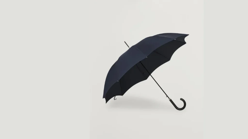 Best Umbrella Brands in India for a Cool Experience Fox Umbrellas