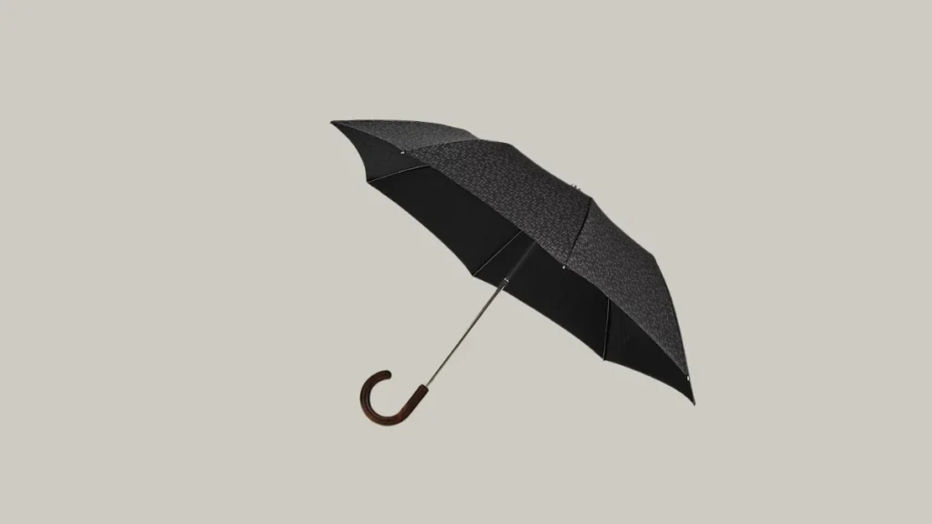 Best Umbrella Brands in India for a Cool Experience Hermes
