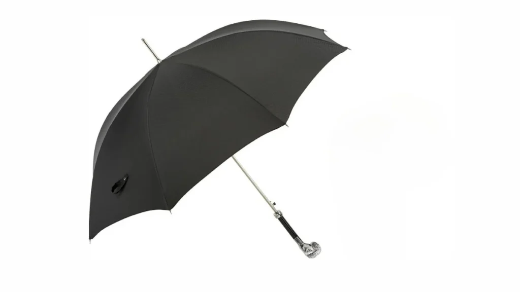 Best Umbrella Brands in India for a Cool Experience Pasotti